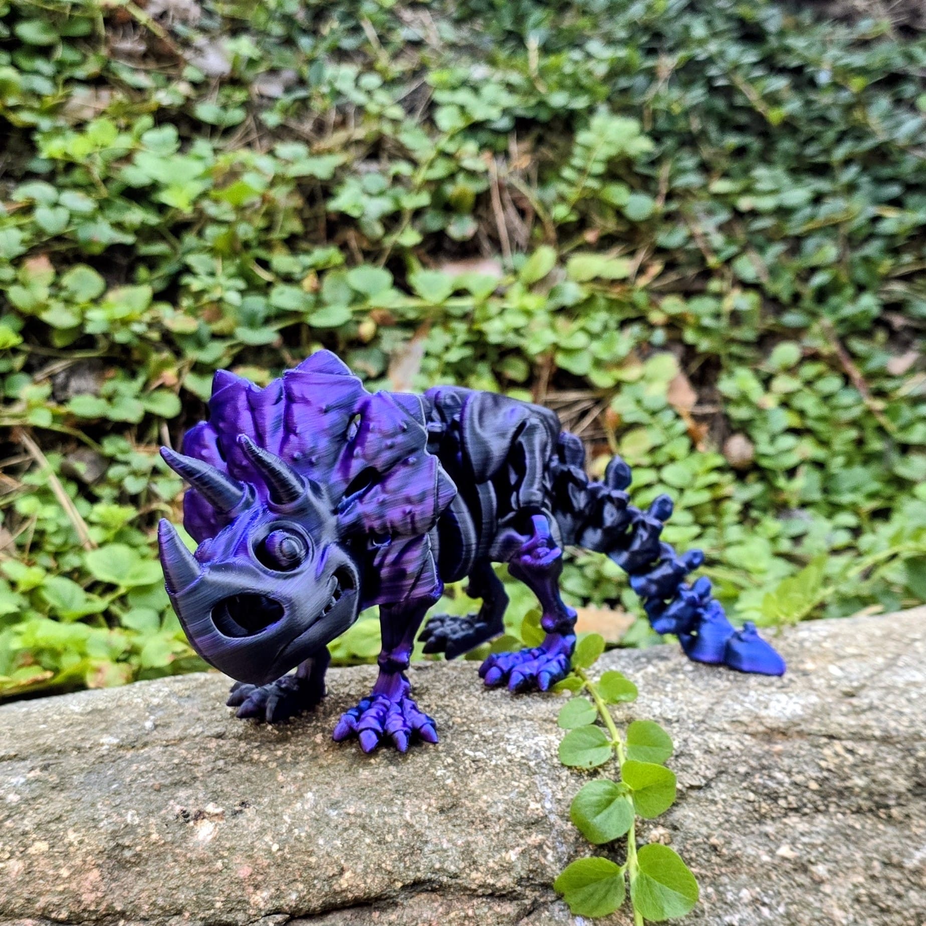 Triceratops Flexi Ansicht 6